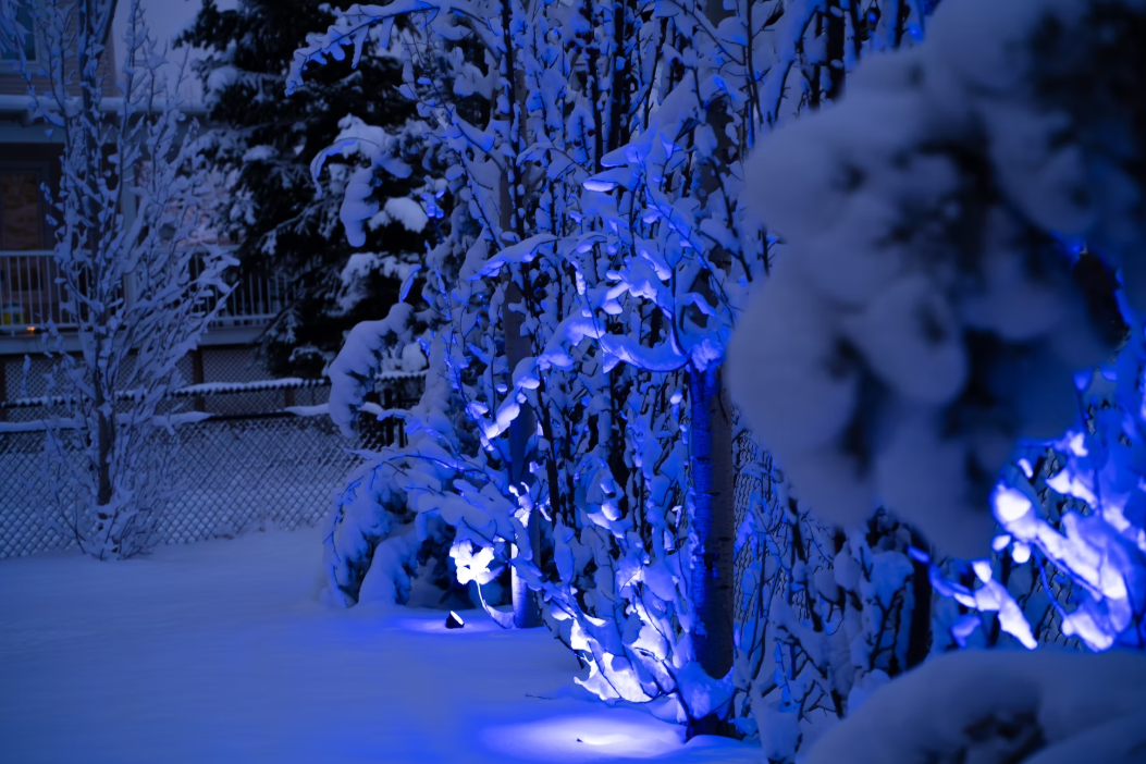 winter lights winter lights
